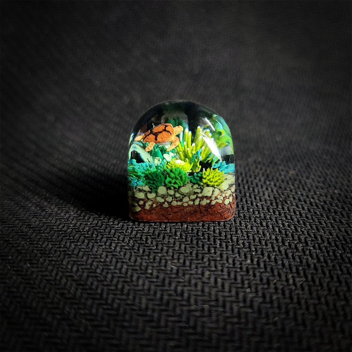 Green Sea Turtle Coral Dom keycap