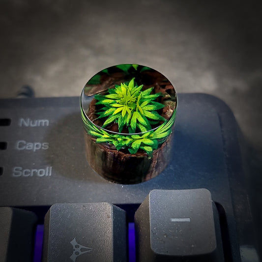Cannabis keycap