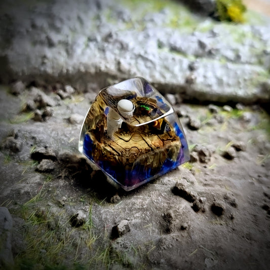 Wall-E